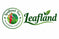 Leafland Tea - Home